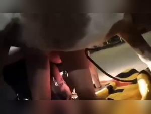 Verbotene Begegnung: Frau und Pferd