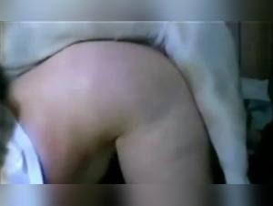 Bestiality: Morning desire with a dog