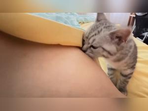 Pushing Boundaries: zooyouporn & dog sex