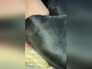 Forbidden Pleasures: Delving into Bokep Zoo