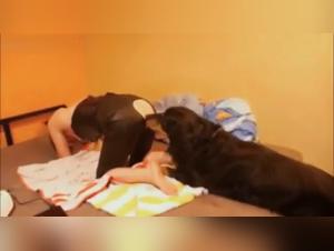 Zoophilie : Une Allemande et son Chien