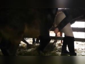 Bestial encounter: woman and horse