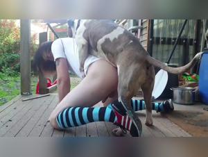 Delving into the Dark Side of Zoo Art