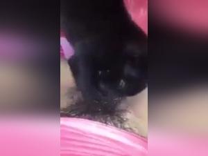 Forbidden Meeting: Woman and Dog