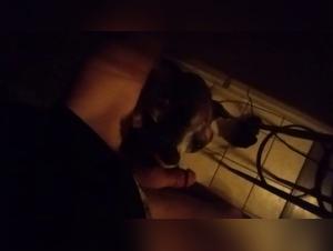 Woman and Dog - Video Bestiality Zoophilia