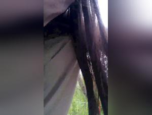 Woman and her dog: a shocking bestiality sex video