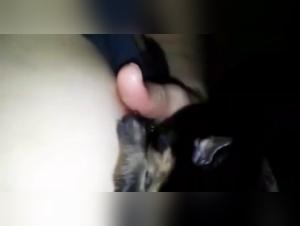 Puppy Feeding: An Extreme Experience