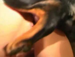 Teenage girl and her dog: an exciting zoophilia video