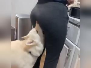 Une rencontre bestiale: Une femme et son chien