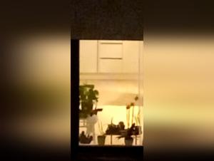 animal xxx for lovers