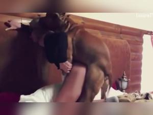 Primal Desires: Exploring Forbidden Fantasies