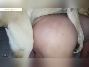 Chubby woman and dog: a zoophilia video not to be missed