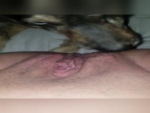 Video di sesso con cani