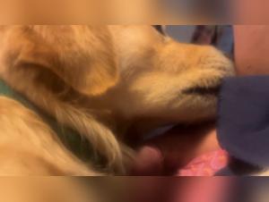 The Most Intense Bestiality Scenes to Watch Today