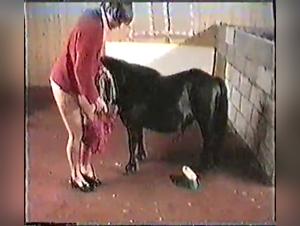 Forbidden Moments with My Friend the Horse