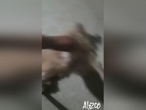 understanding uk law on beastiality and animal pornography