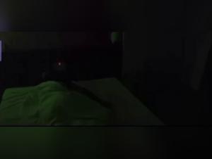 Famille et animaux: une histoire d'amour interdite