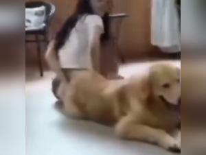 Unveiling the Dark Side of Animal Porn