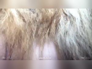 Bestialit con una volpe: la stramba che succhia il suo cane