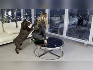 veronica silesto petsex