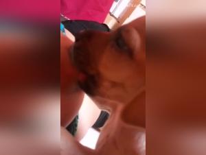 A dog's passion for breast milk