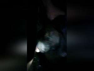 Into the Forbidden Realm: Tickzoo & Beastiality