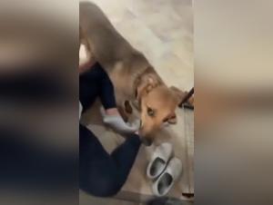 Teenage girl and dog: a shocking zoophilia video
