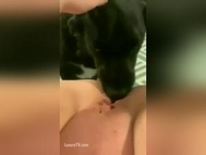 Zoophilia scene: a woman is taken by a dog