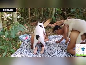 Bestiality scene with two women and a dog