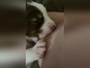 Bestial Breastfeeding: An Extreme and Forbidden Experience