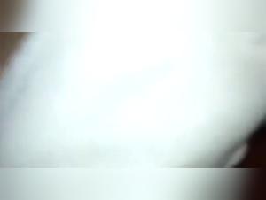 Exploitation in Animal Content: Dog Sex Realities