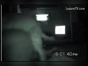 Bestiality sex video: a woman and her dog