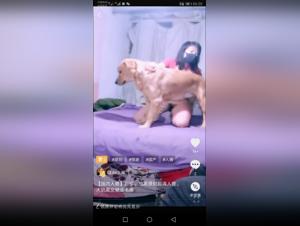 Bestiality: An Intense and Forbidden Experience