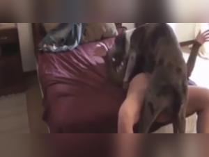 Bestiality: a woman and her dog in a shocking video