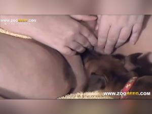 BBW and her dog in bestiality video