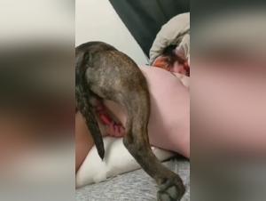 Bestiality video: a 'good girl' and a dog