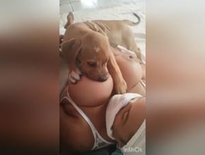 The Best Websites to Watch Milk Cat Porn Videos