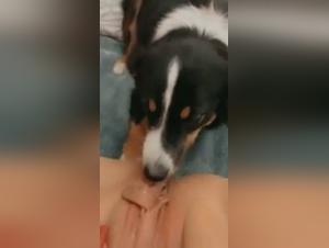 Forbidden Meeting: Woman and Dog