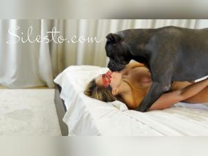 Delving into the Forbidden Realm of Zoophilia