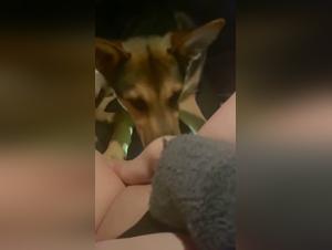 Dog Sex Video - Irish Girl and Dog in a Car