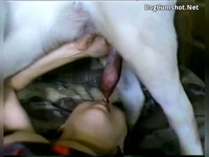 Femme mature et chien dans une scène de zoophilie intense