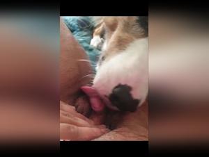 The Zoo Sex Workers and Their Dogs: A Story of Intense Love