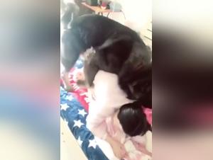 Mature Asian woman and her dog: an exciting zoophilia video