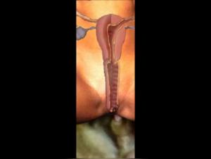 The mysteries of female intimacy revealed