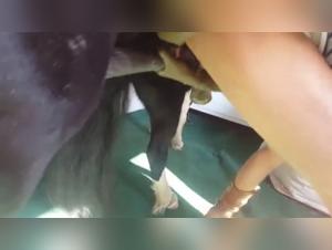 Forbidden Encounter: Woman and Horse