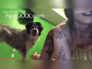 Debunking Animal Sex Myths: A Zoo Skool Approach