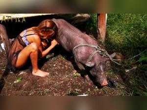 Forbidden Encounter: An Extreme Zoophile Experience