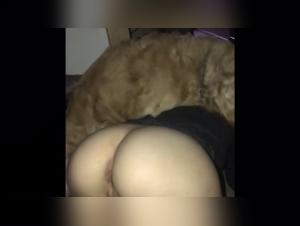 Sex with a dog: a teenager discovers the pleasures of bestiality