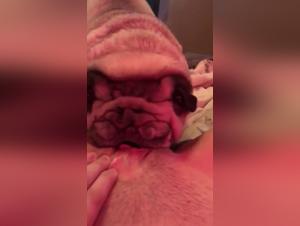 Bestial and exciting encounter: Hot Dog 11