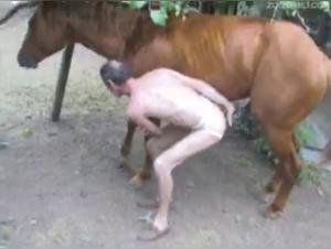 Homme mur et etalon en rut : video sexe bestialite excitante